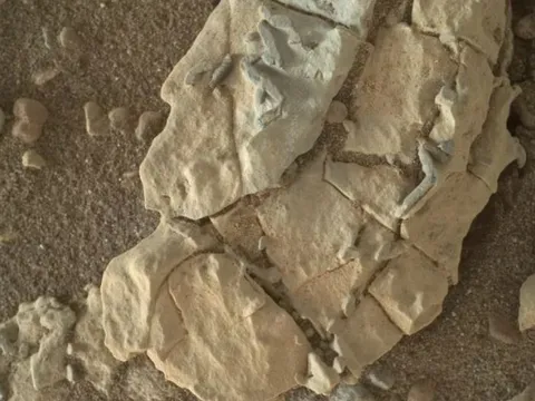 Nhà khoa học gây tranh cãi khi tuyên bố NASA che giấu bằng chứng về sự sống ngoài hành tinh trên sao hỏa