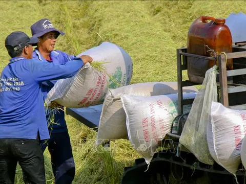 Điểm tựa kinh tế nông nghiệp của Việt Nam - Bài 1: Vùng đất lạc hậu hóa vựa lúa vàng
