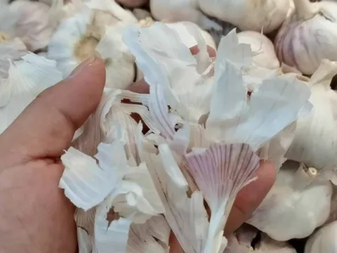 Báu vật trong gian bếp: Vỏ tỏi với 5 công dụng tuyệt vời ít ai ngờ tới