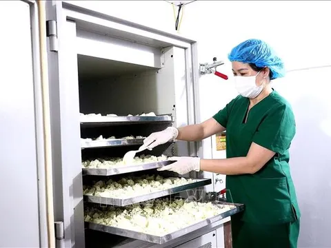 Đề xuất điều chỉnh các văn bản pháp luật trên tinh thần Nghị quyết 68-NQ/TW
