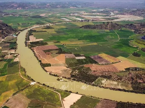 Doanh nghiệp lao đao vì giá cát tăng mạnh, nguồn cung khan hiếm
