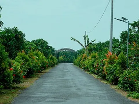Mô hình 'Làng thông minh' góp phần phát triển kinh tế số, xã hội số ở Đồng Tháp
