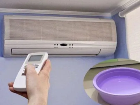 Bí quyết đơn giản nhưng hiệu quả: Vì sao nhiều người đặt chậu nước trong phòng khi bật điều hòa?
