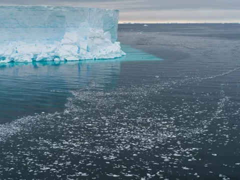 Tảng băng khổng lồ ở Nam Cực vỡ ra, hé lộ một hệ sinh thái bí ẩn chưa từng được con người nhìn thấy