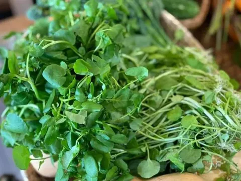 Một loại rau Việt Nam được Mỹ vinh danh là tốt nhất thế giới: Giàu collagen, bảo vệ tim mạch, hỗ trợ phòng ung thư