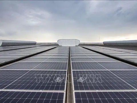 Mỹ có thể áp thuế cao lên pin Mặt Trời nhập khẩu từ Đông Nam Á
