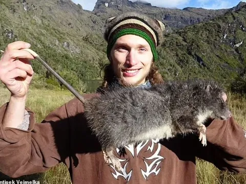 Phát hiện loài chuột khổng lồ dài tới 85cm, nặng gần 2kg trên núi cao Papua New Guinea