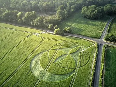 Vòng tròn kỳ bí xuất hiện gần Stonehenge: Dấu hiệu người ngoài hành tinh hay trò đùa tinh vi?