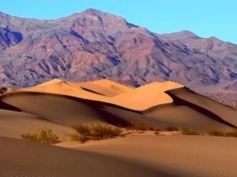 Loài cá sa mạc hiếm nhất thế giới, sống sót ở ‘thung lũng chết’ 60.000 năm: Chỉ còn hơn 30 con