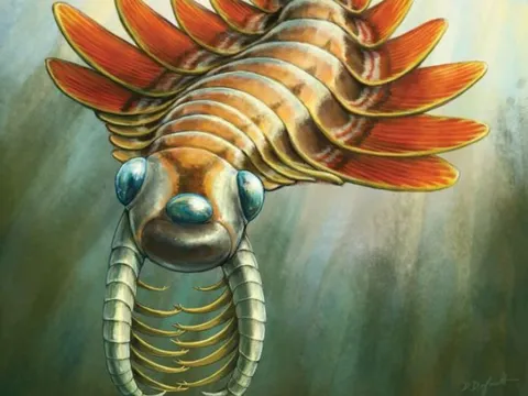 Khám phá 'quái vật 3 mắt' từng tung hoành khắp đại dương cách đây hơn 500 triệu năm