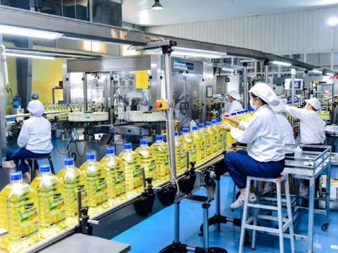 Thủ tục thông thoáng là 'chìa khóa' để khu vực tư nhân phát triển xứng tầm