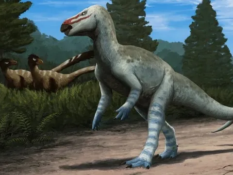 Phát hiện khủng long "mũi đỏ" kỳ lạ ở Pháp: Loài mới chưa từng được biết đến