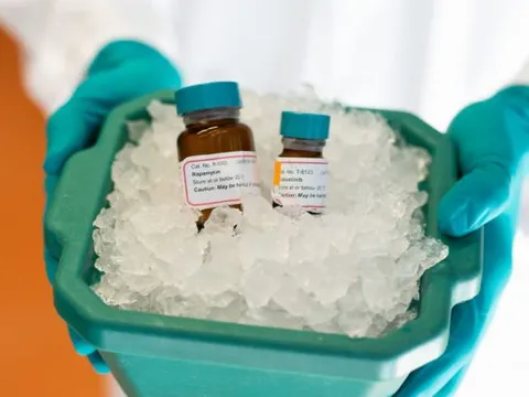 'Cocktail' chống lão hóa kéo dài tuổi thọ chuột thêm 30%, mở ra hy vọng mới cho tuổi già khỏe mạnh