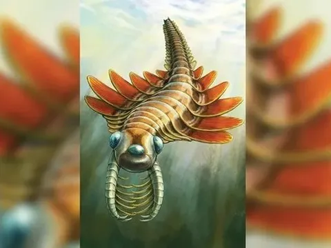 Phát hiện sinh vật biển cổ đại 3 mắt kỳ lạ: “Thở bằng… mông”