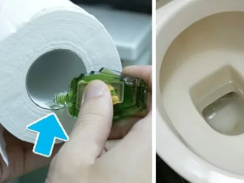 Bất ngờ với công dụng “thần kỳ” của dầu gió: Nhỏ vào giấy, tiết kiệm cả đống tiền ngày mưa ẩm