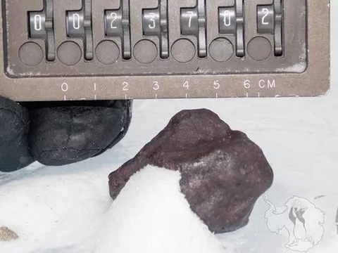 Phát hiện chấn động từ Nam Cực: Thiên thạch tiết lộ bí ẩn nguồn gốc nước trên Trái Đất