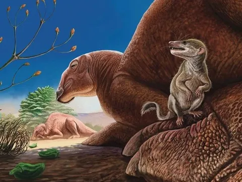 Phát hiện sinh vật 90 triệu năm tuổi kỳ dị giữa sa mạc Gobi