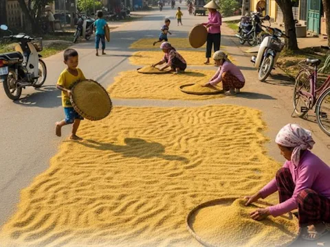 Phơi lúa, rơm rạ trên lòng đường có thể bị phạt đến 20 triệu đồng