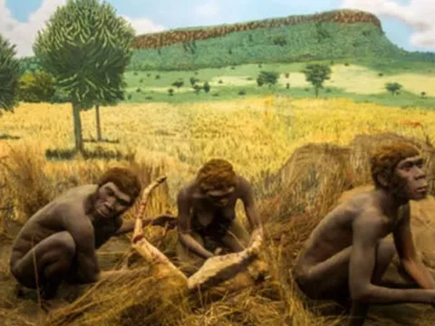 Nếu những sinh vật cổ đại này không biến mất, có lẽ con người đã không tồn tại