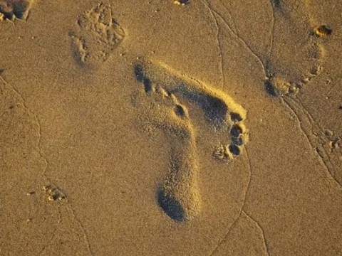 Bí ẩn dấu chân 'ma quái' ở sa mạc Utah: Hiện ra khi mưa, biến mất dưới nắng