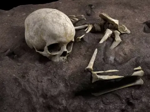 Bí ẩn khoảng trống 130.000 năm trong lịch sử tiến hóa loài người: Do thảm họa thiên nhiên hay sự can thiệp của người ngoài hành tinh?