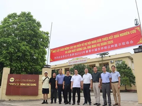 Giới thiệu giống lúa, rau màu năng suất cao và ít sâu bệnh