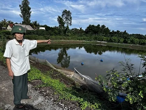 Vụ chuỗi liên kết cá tra Tafishco đứt gãy: Tỉnh An Giang chỉ đạo thực hiện nghiêm trưng cầu giám định của Bộ Công an