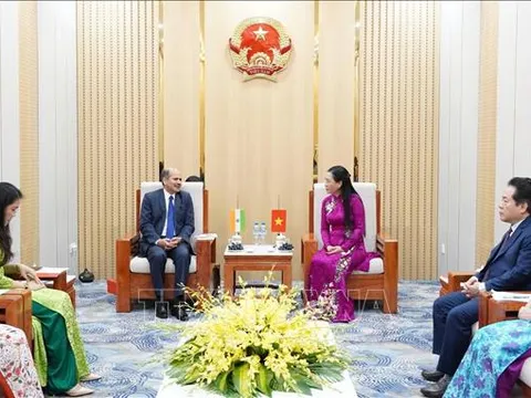 Cơ hội thúc đẩy hợp tác khoa học, công nghệ giữa Quảng Ngãi và doanh nghiệp Ấn Độ
