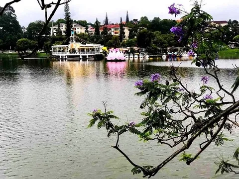 Đà Lạt - nơi người ta đến không chỉ để đi, mà để nhớ