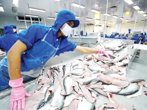 7 doanh nghiệp cá tra Việt Nam hưởng thuế chống phá giá 0% tại Mỹ