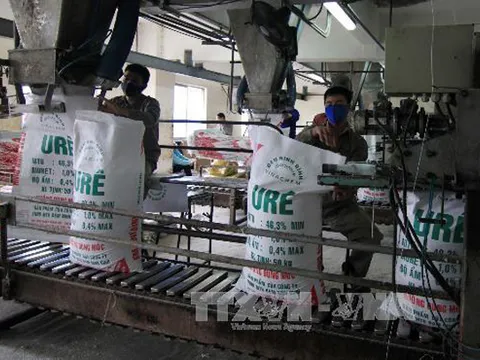 Thị trường phân bón: Giá bán trong nước bám sát đà tăng cao của thế giới
