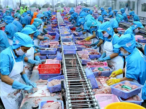 Kỳ vọng từ thị trường Halal với nông sản Việt
