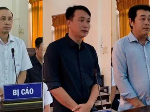 Kiên Giang: Ba cựu cán bộ ở Phú Quốc lãnh án vì cấp đất sai quy định 