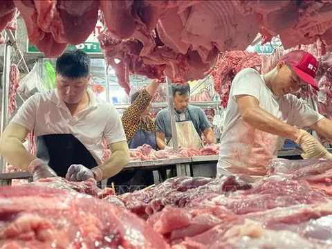 Đầu tư bài bản cho 'thịt sạch'
