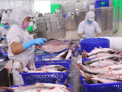 Việt Nam - Brazil: Nhiều dư địa hợp tác kinh tế thương mại
