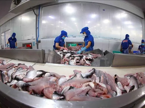 Cảnh báo sớm bảo vệ hàng xuất khẩu
