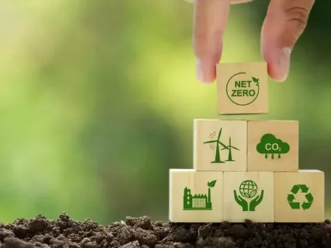 Vì sao Việt Nam chưa có thị trường carbon đúng nghĩa?