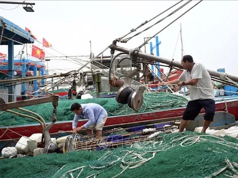 Thủ tướng yêu cầu khẩn trương triển khai ứng phó khẩn cấp với bão số 3
