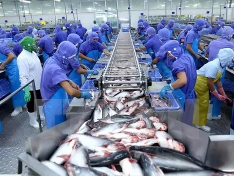 Doanh nghiệp cá tra 'né" thuế Mỹ bằng sản phẩm chế biến sâu