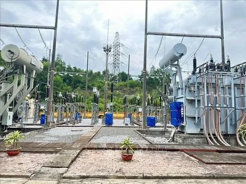 Gần 78% khách hàng bị ảnh hưởng bão số 3 được cấp điện trở lại