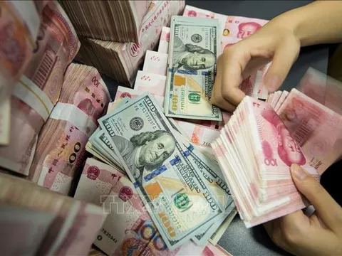 Tỷ giá ngoại tệ ngày 24/07/2025: USD và NDT biến động nhẹ