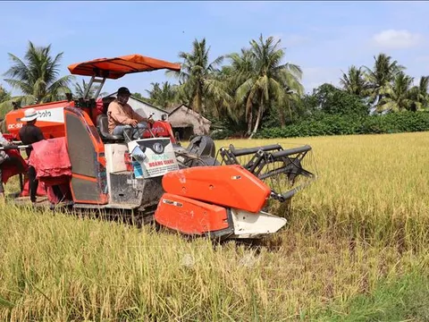 Sản xuất nông nghiệp giảm phát thải: Tiên phong từ hạt gạo Việt
