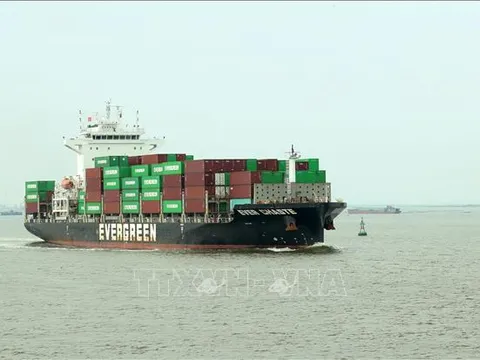 Tổng kiểm soát, xử lý phương tiện kinh doanh vận tải trên đường bộ và đường thủy