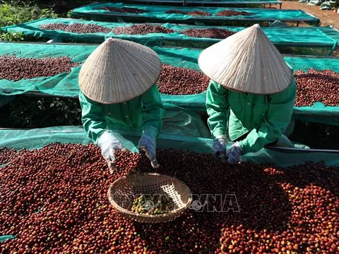 Bộ Công Thương hướng dẫn cụ thể về sử dụng bảng kê thu mua nguyên liệu
