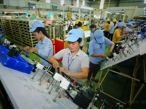 Gỡ rối thủ tục BIS cho doanh nghiệp Việt Nam thâm nhập thị trường Ấn Độ