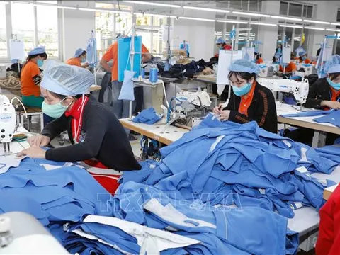 5 năm EVFTA: Cú hích xuất khẩu và bài toán nâng chuẩn hội nhập