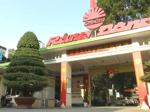 Lợi nhuận Rạng Đông RAL sụt giảm mạnh 49%