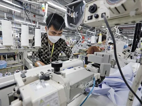 Doanh nghiệp tìm cách thích ứng với thuế đối ứng 20%