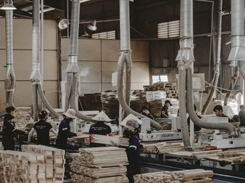Ngành gỗ chủ động ứng phó phòng vệ thương mại