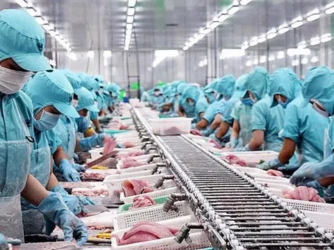 EU siết quy định nhãn mác, doanh nghiệp Việt xuất khẩu thực phẩm cần lưu ý